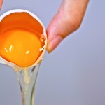 生活クラブの新鮮卵は黄身の色が濃く表面もぷっくりして美味しい